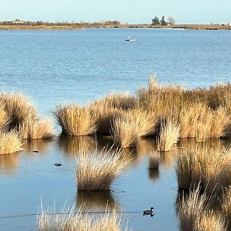 Cal Xot Konuk evi Poblenou del Delta Dış mekan fotoğraf